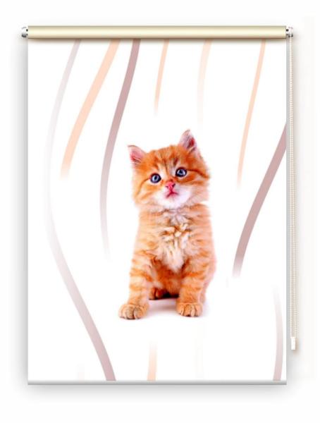 Rollo Lion vertic Katzenbaby, Rollo, Motivrollo, Rollo mit Druck, Fotorollo, bedrucktes Rollo, Fensterrollo,verdunkelndes Rollo, Sonnenschutz Rollo